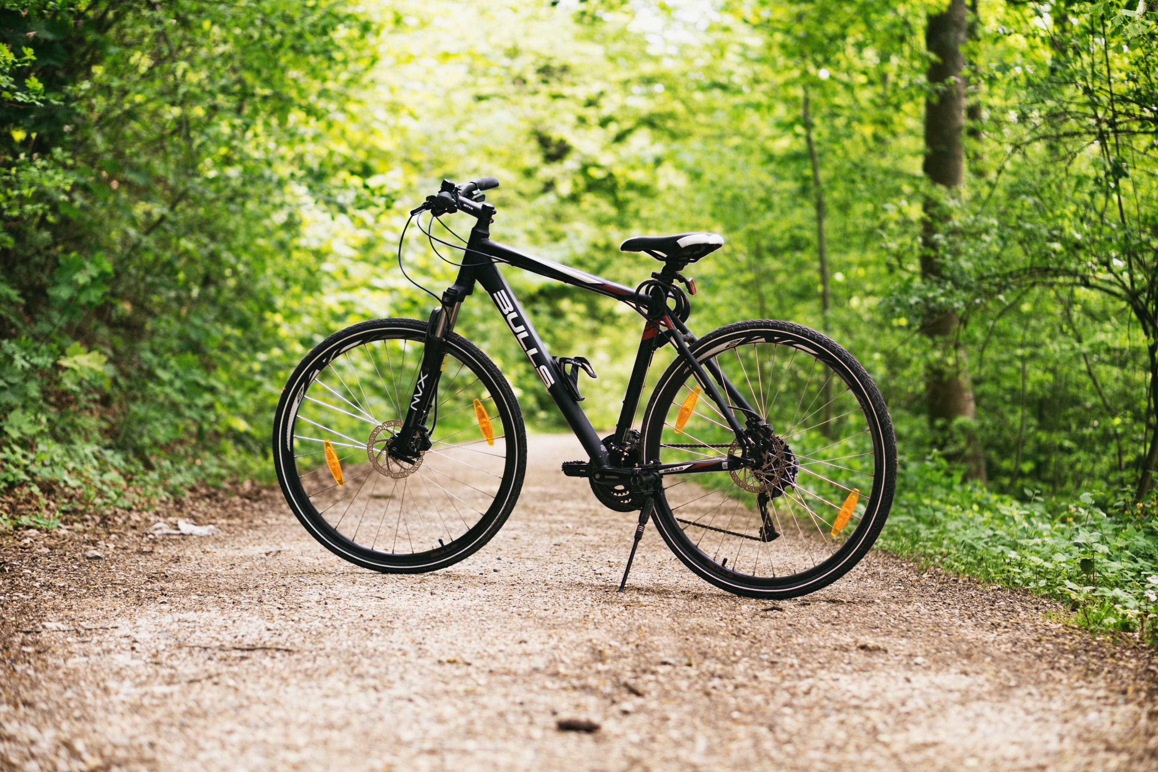 Thule Bike Rack